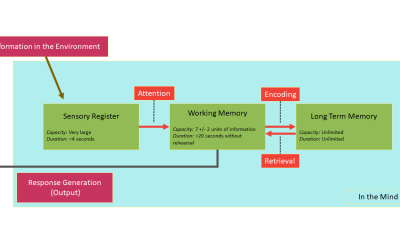 Information Processing Theory