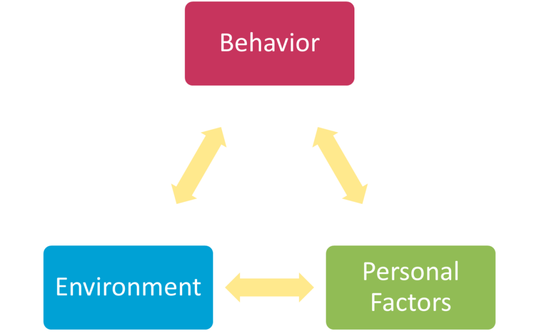 Social Cognitive Theory