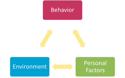 Social Cognitive Theory