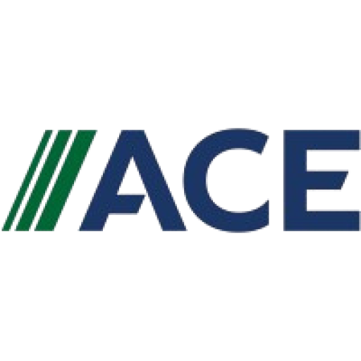 Institute for Advancing Computing Education logo